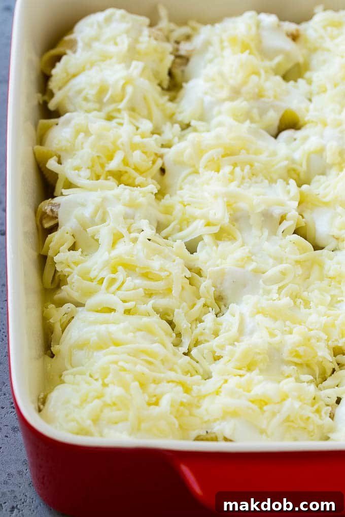 Stuffed shells topped with alfredo sauce and melted cheese.