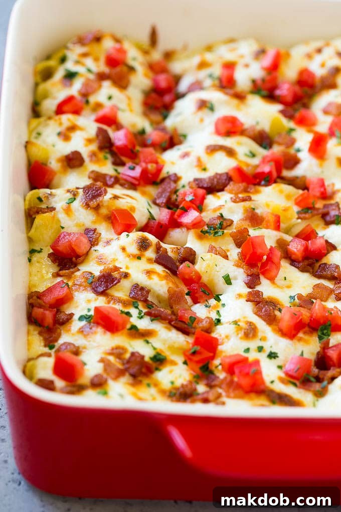 A baking dish of chicken alfredo stuffed shells topped with melted cheese.