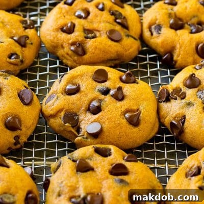 Pumpkin chocolate chip cookies on a cooling rack.
