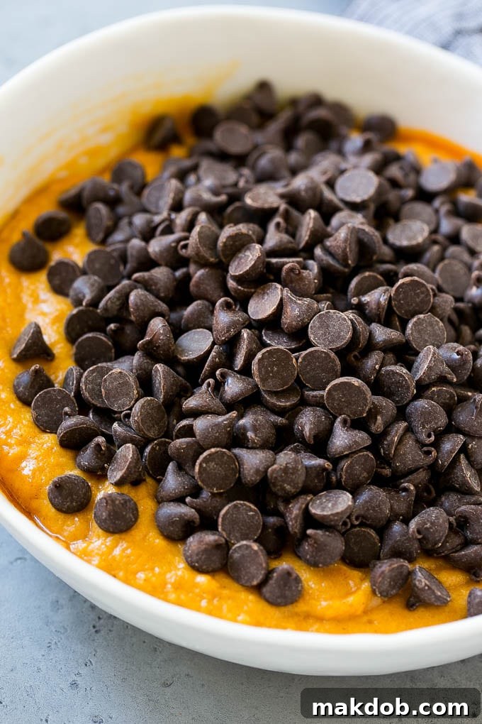 Mixing pumpkin cookie dough with chocolate chips Pumpkin chocolate chip cookie dough batter in a bowl, with extra chocolate chips sprinkled on top.