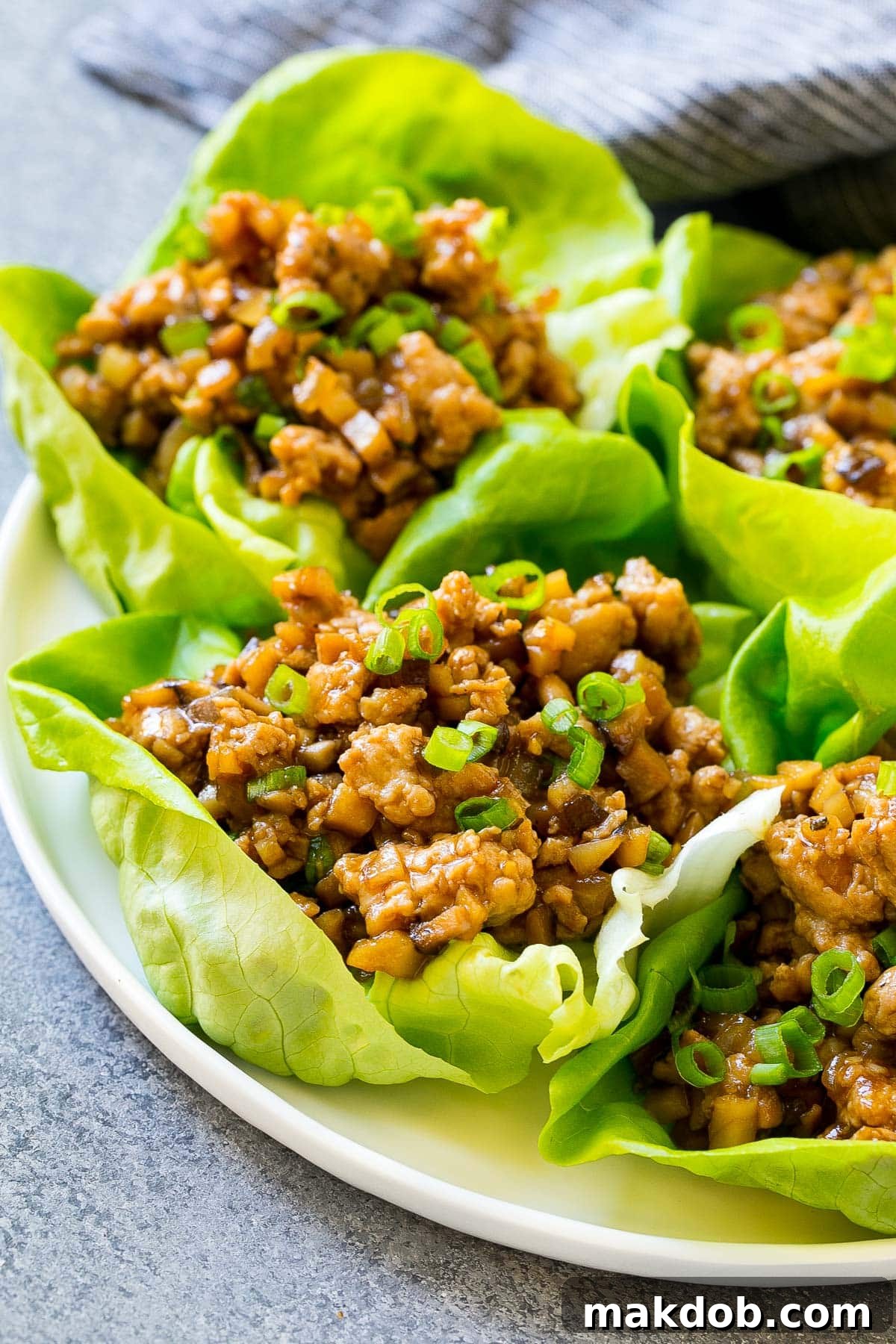 A beautifully presented plate of chicken lettuce wraps, garnished with vibrant green onions, emphasizing their fresh and appetizing appeal.