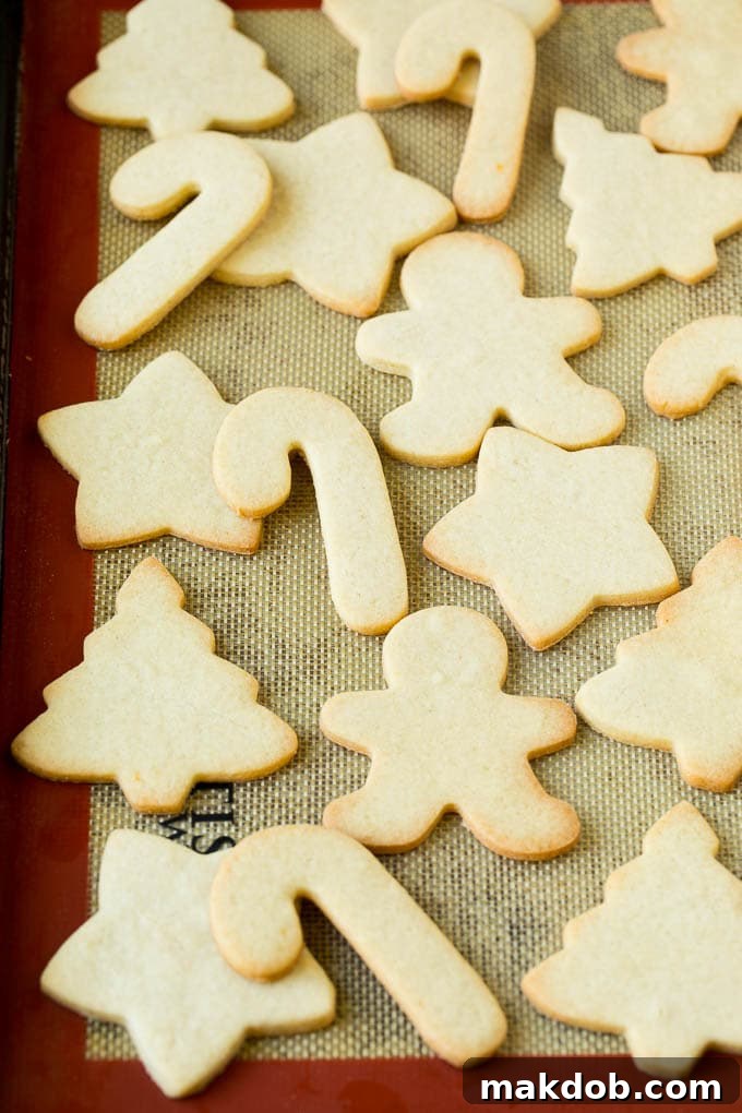 Christmas Sugar Cookies Recipe | Christmas Cookies #cookies #frosting #sprinkles #sugarcookies #christmas #dessert #dinneratthezoo Various holiday-shaped cut-out cookies neatly arranged on a baking sheet, ready for the oven.