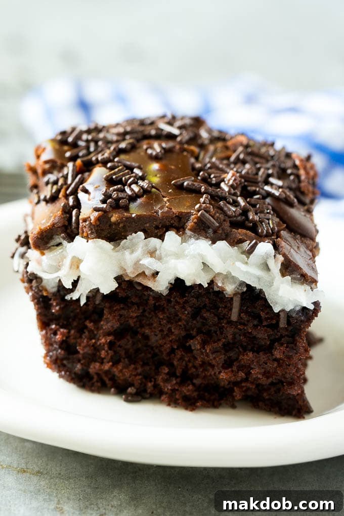 Best Chocolate Coconut Cake Recipe | Easy Coconut Marshmallow Cake A slice of chocolate coconut cake finished with chocolate sprinkles, showing the distinct layers.