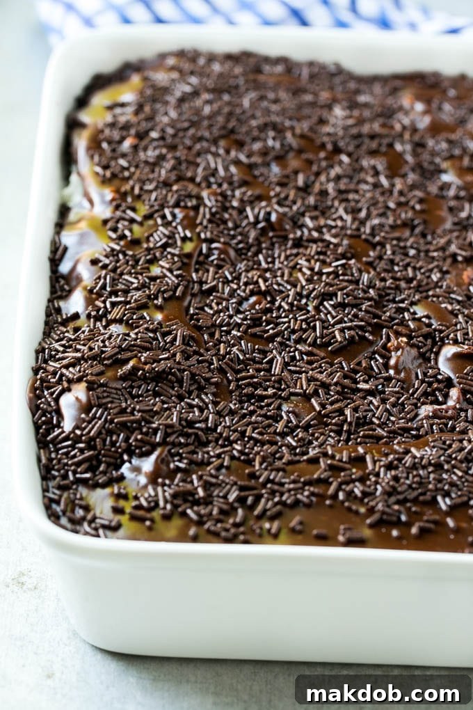 Easy Chocolate Cake Recipe with Coconut Marshmallow Frosting A pan of chocolate coconut cake topped with glossy frosting and festive sprinkles.