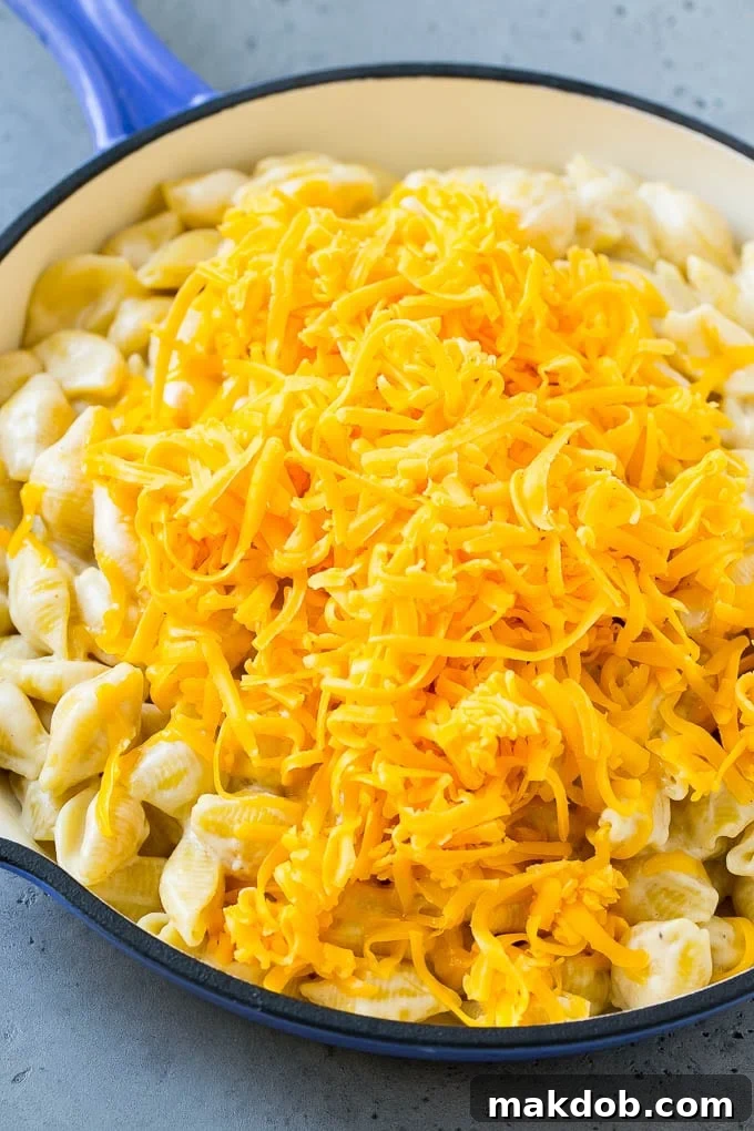 Creamy shell pasta topped with a pile of shredded cheddar cheese.
