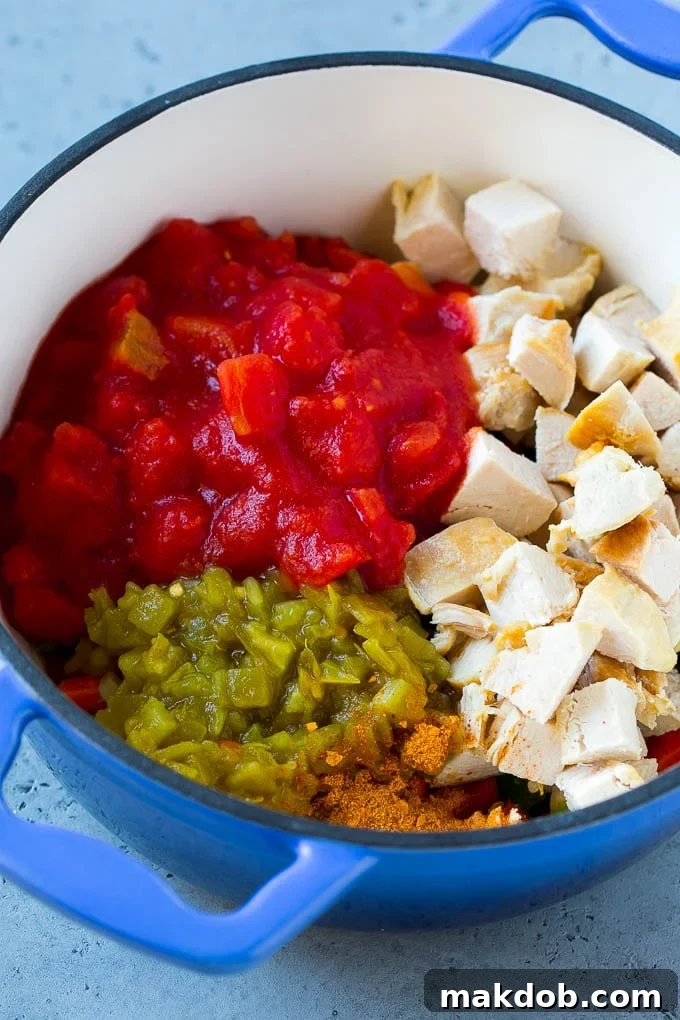 Mexican Chicken Soup | Chicken and Vegetable Soup | Chicken and Potato Soup #chicken #soup #chickensoup #mexican #healthy #dinner #dinneratthezoo A mix of vegetables, tender chicken pieces, green chiles, and diced tomatoes mingling in a pot, ready for the next stage of cooking.
