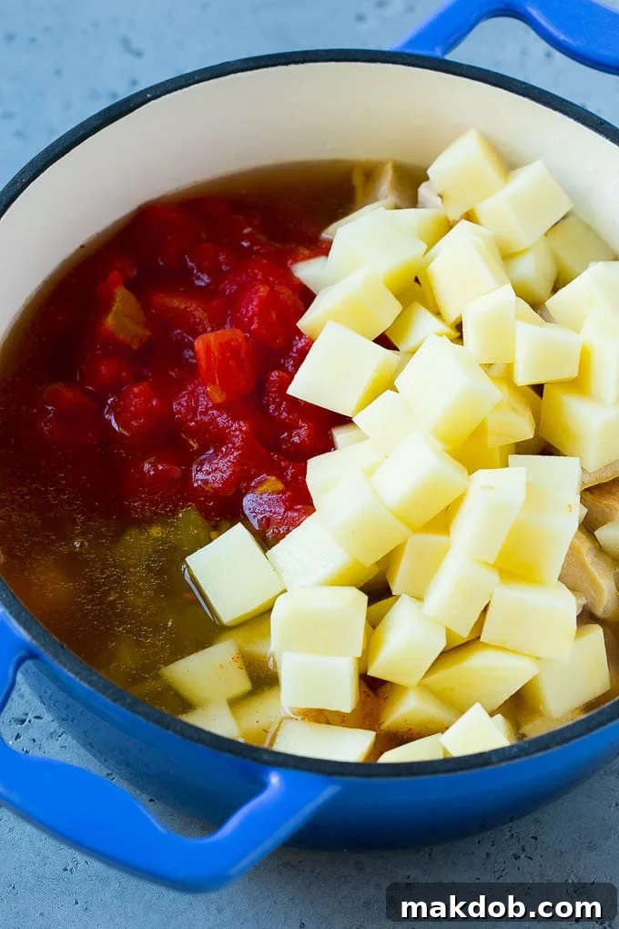 Mexican Chicken Soup | Chicken and Vegetable Soup | Chicken and Potato Soup #chicken #soup #chickensoup #mexican #healthy #dinner #dinneratthezoo A vibrant Mexican chicken soup simmering with diced potatoes, tomatoes, tender chicken, and various vegetables, nearing completion.
