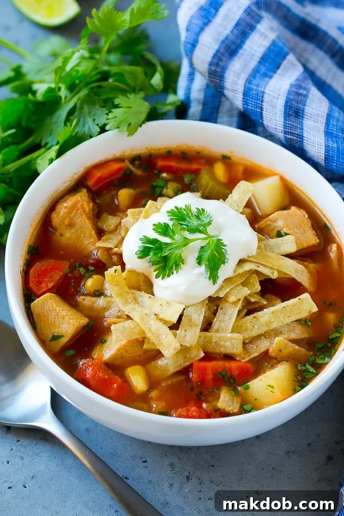 Mexican Chicken Soup | Chicken and Vegetable Soup | Chicken and Potato Soup #chicken #soup #chickensoup #mexican #healthy #dinner #dinneratthezoo A hearty bowl of Mexican chicken soup generously topped with crispy tortilla strips and a dollop of cooling sour cream.