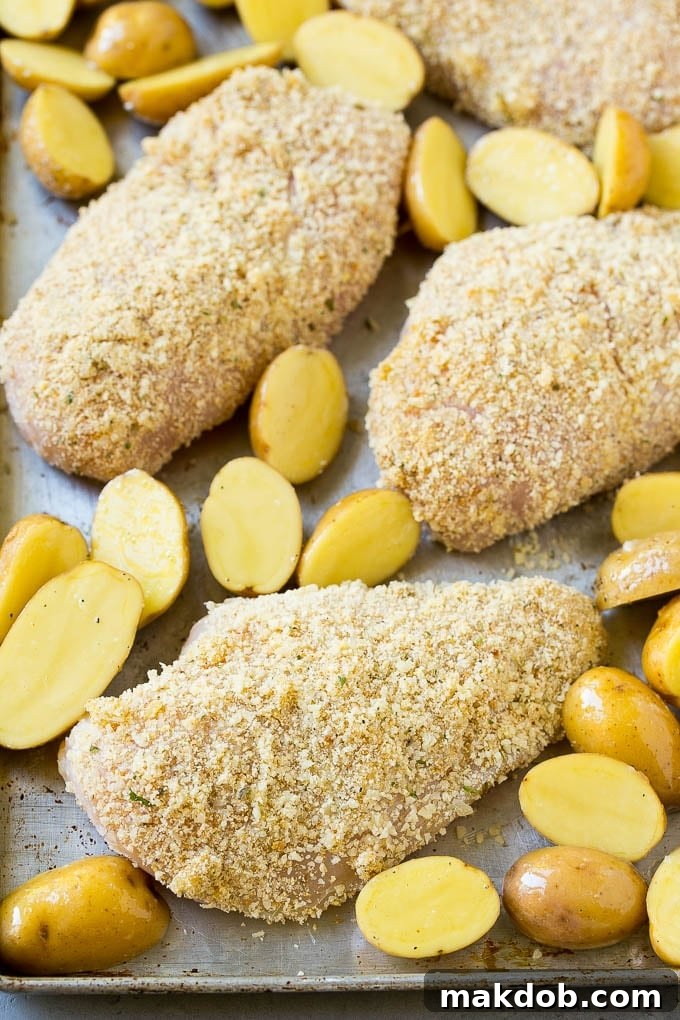 Italian Chicken Recipe | Sheet Pan Chicken | Baked Chicken #chicken #potatoes #dinner #dinneratthezoo Breaded Italian chicken and potatoes on a sheet pan.