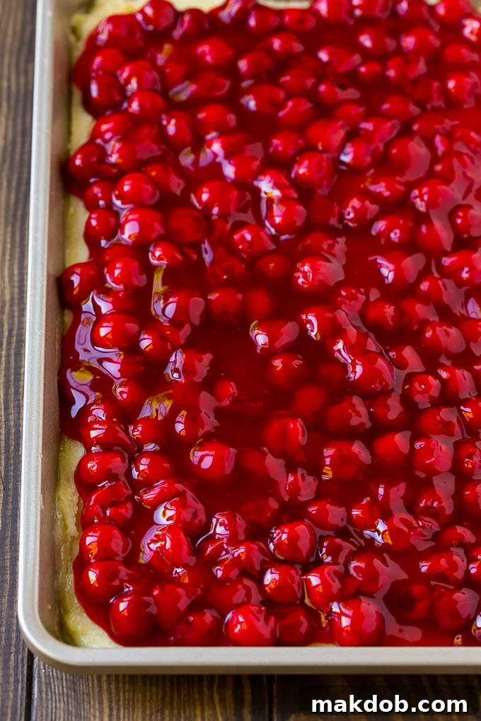 Cherry Bars Recipe | Cherry Pie Bars | Cherry Cookies | Bar Cookies #cookies #bars #cherry #baking #dessert #sweets #dinneratthezoo Filling spread over a cookie crust.