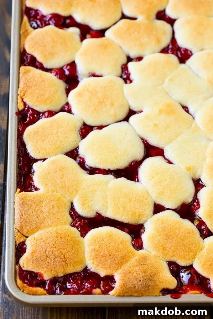 Cherry Bars Recipe | Cherry Pie Bars | Cherry Cookies | Bar Cookies #cookies #bars #cherry #baking #dessert #sweets #dinneratthezoo A pan of baked dough and filling.