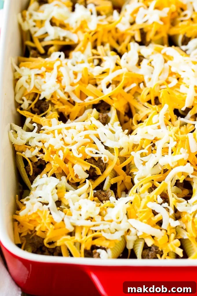 Mexican Stuffed Shells Recipe | Stuffed Shells | Mexican Pasta #dinner #pasta #mexican #beef #noodles #cheese #dinneratthezoo Unbaked Mexican stuffed shells topped with shredded cheese.