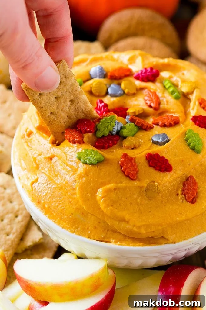 Pumpkin Dip Ready for Dipping A graham cracker is shown scooping a generous portion of the creamy pumpkin dip from a festive serving bowl, highlighting its perfect dipping consistency.