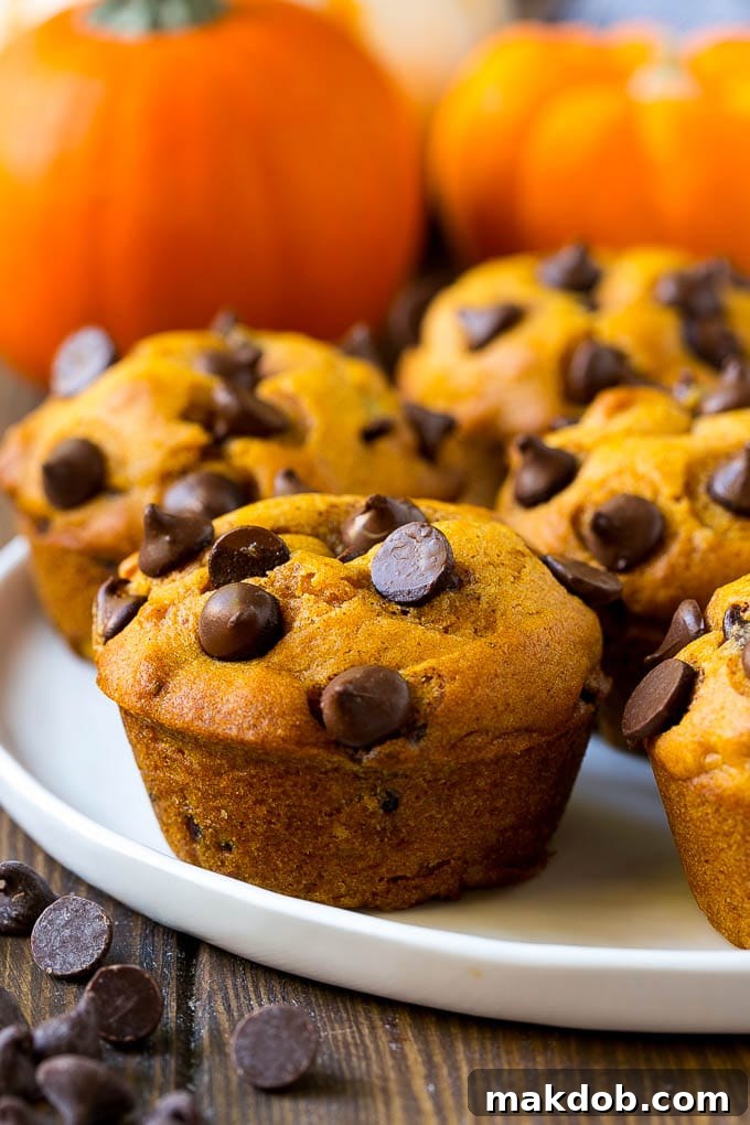 A plate stacked with beautifully golden-brown pumpkin chocolate chip muffins, ready to be served.