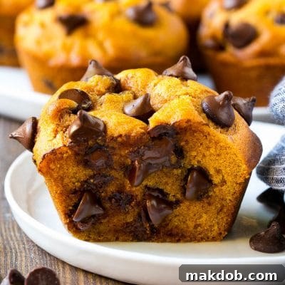 A cross section of a pumpkin chocolate chip muffin, showcasing its moist interior and abundant chocolate chips.