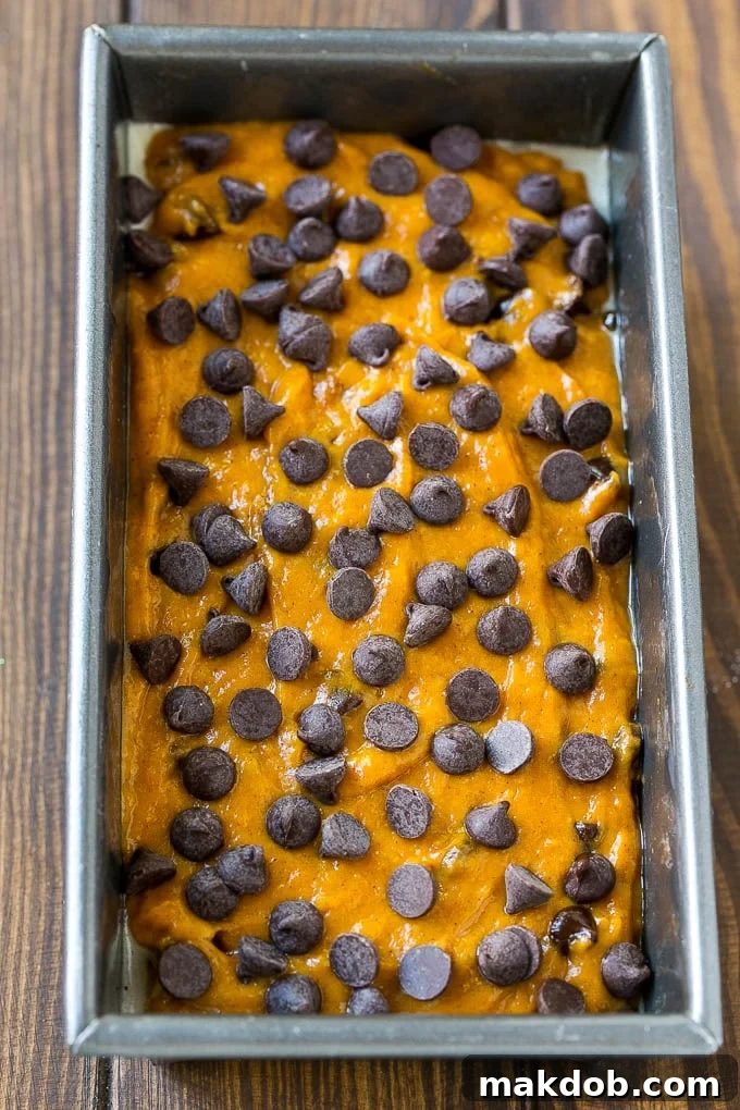 Heavenly Pumpkin Chocolate Chip Bread 5 A loaf pan filled with smooth pumpkin chocolate chip bread batter, generously topped with extra chocolate chips, ready for baking to golden perfection.
