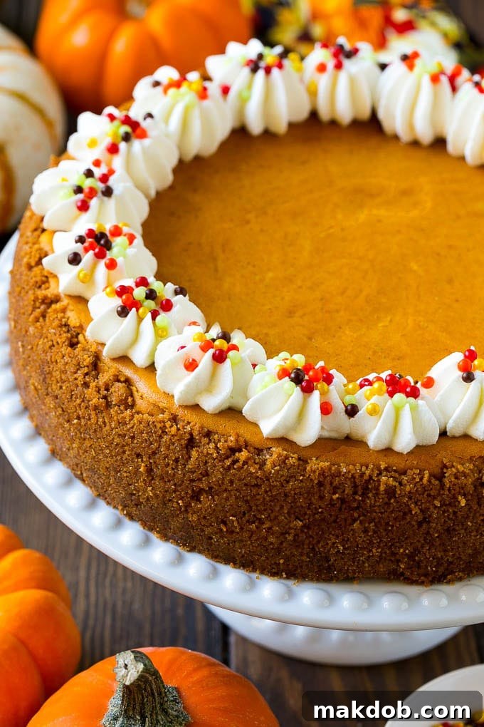 Beautifully Garnished Pumpkin Cheesecake on Cake Stand A whole pumpkin cheesecake elegantly presented on a cake stand, generously topped with swirls of fresh whipped cream and a delicate dusting of cinnamon.
