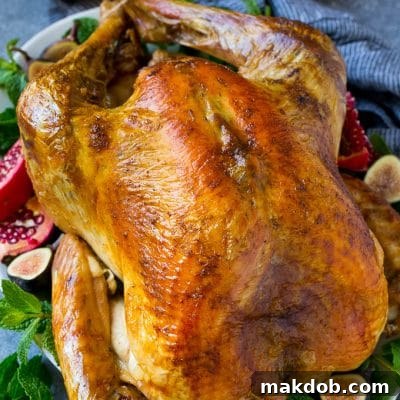 A Thanksgiving roast turkey on a serving platter garnished with herbs, pomegranate and figs.