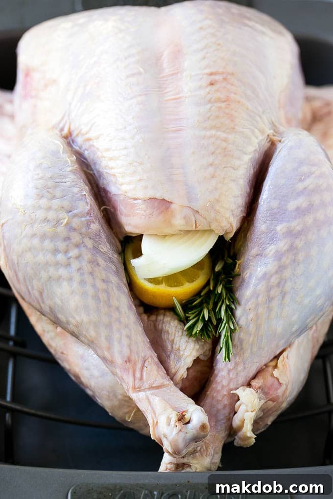 A raw whole turkey with lemon, onion, and fresh herbs visibly placed inside its cavity, ready for roasting.