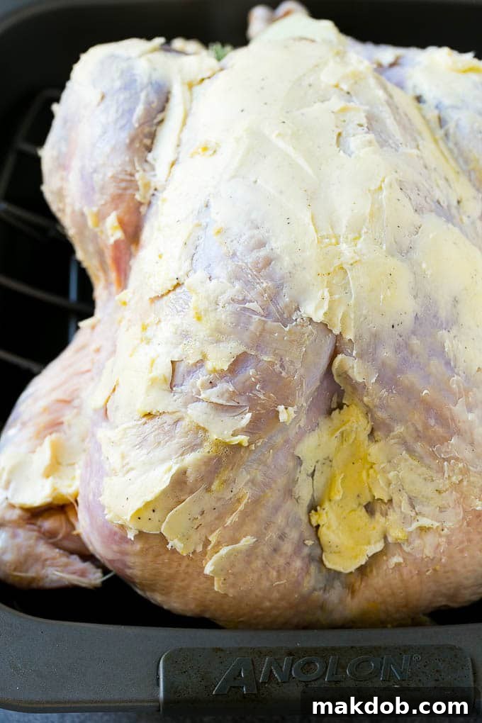 A whole raw turkey generously coated in a seasoned butter mixture, ready for roasting.
