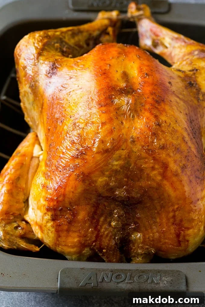 A roasted turkey resting in its baking pan, showing the rich golden-brown skin and succulent appearance.