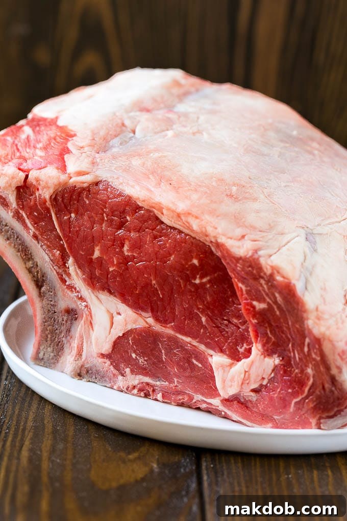 An uncooked standing rib roast, ready for seasoning.
