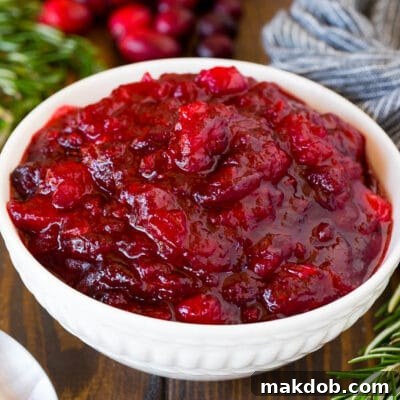 Crafted Cranberry Delight 2 A bowl of homemade cranberry sauce with a serving spoon and garnishes.