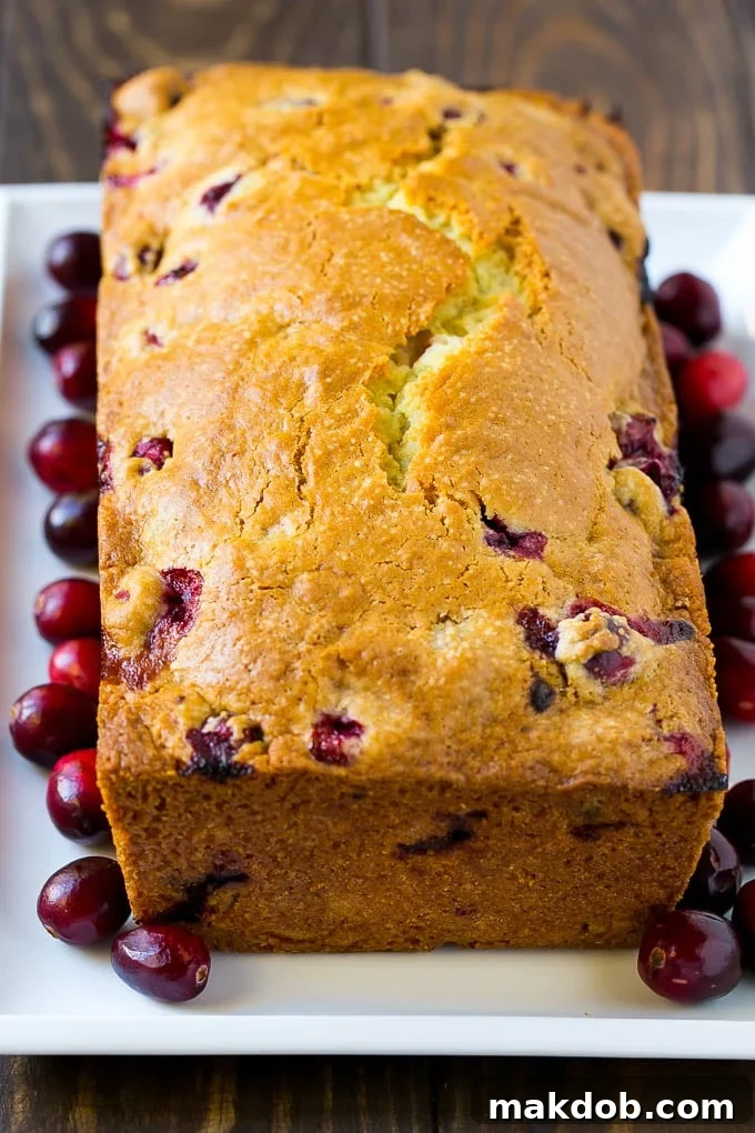 A perfectly baked loaf of fresh cranberry bread, golden brown and ready for glazing.