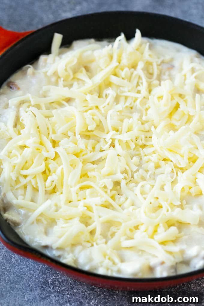 A skillet of chicken Alfredo dip topped with shredded mozzarella cheese.