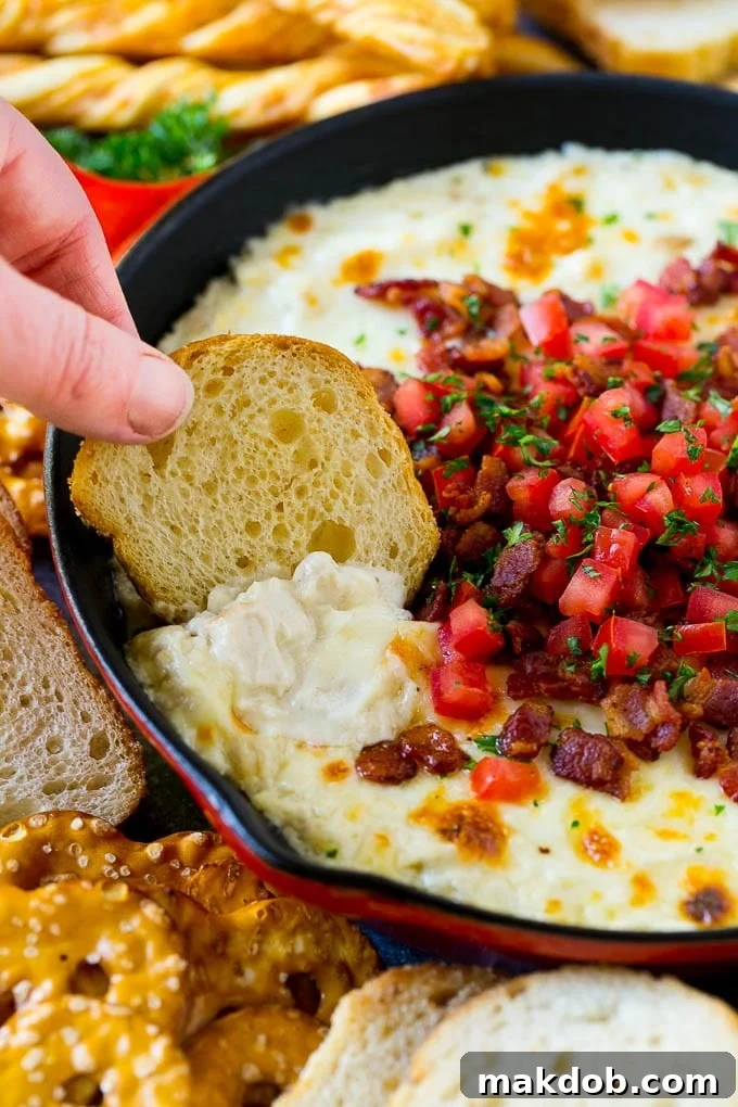A crostini scooping out a serving of chicken Alfredo dip.