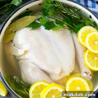 Chicken brine in a pot with a whole chicken, lemons, herbs and spices.
