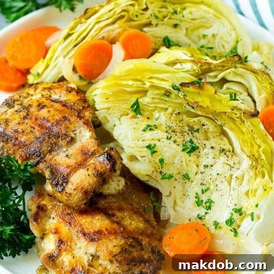 A plate of grilled chicken along with braised cabbage, carrots and onions.