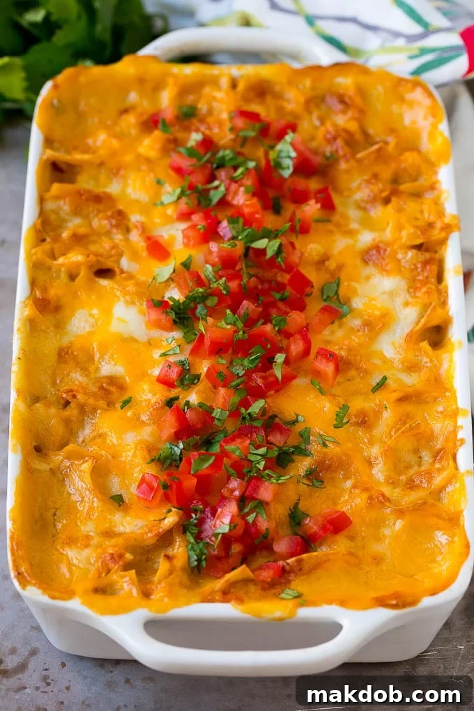 A close-up shot of King Ranch chicken casserole, freshly baked with melted cheese, diced tomatoes, and chopped cilantro on top.