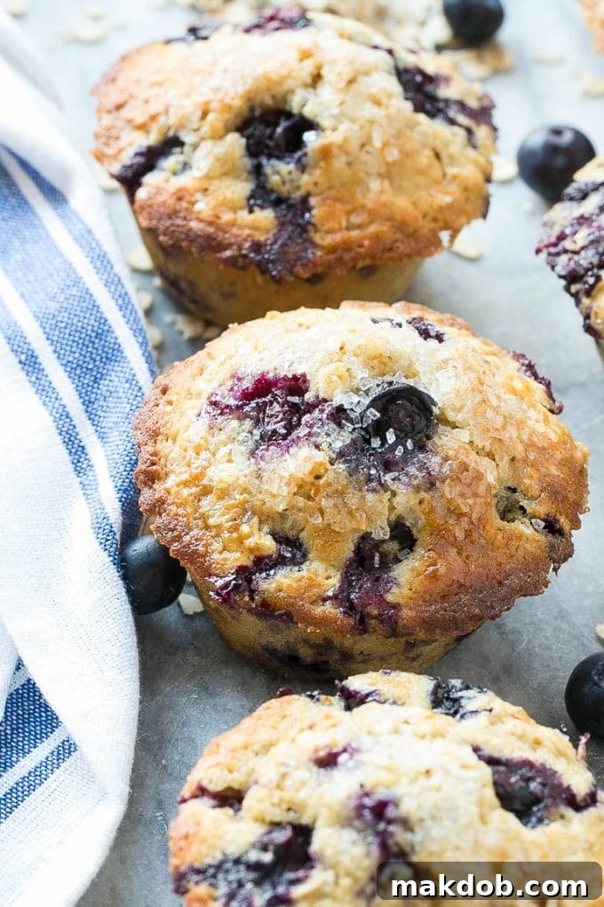 Blueberry muffins made with whole wheat flour and oatmeal.