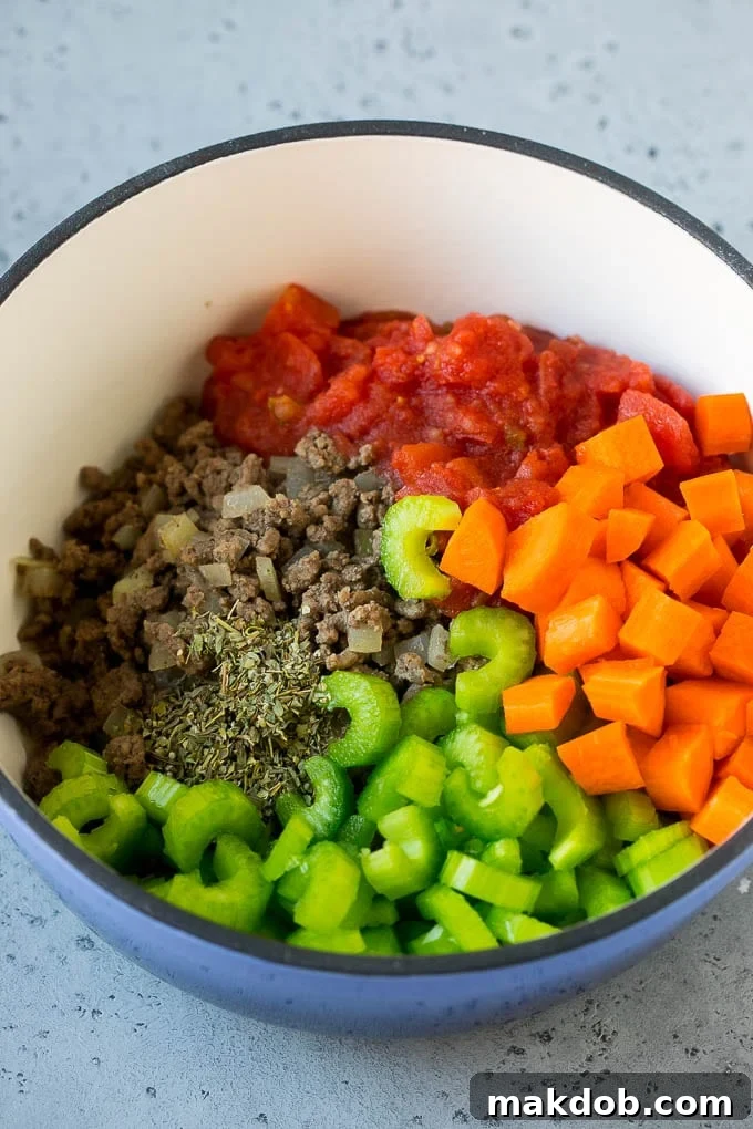 Ground beef, onions, tomatoes, carrots, celery, herbs and spices in a soup pot.