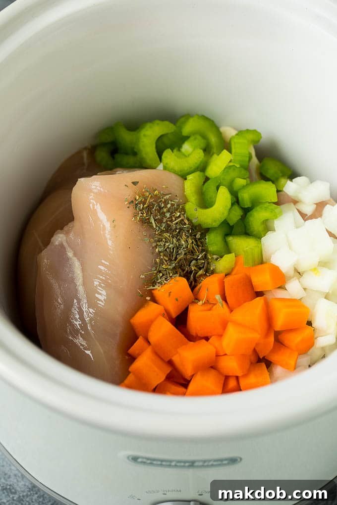 Chicken breasts, seasonings, carrots, onion and celery in a slow cooker.