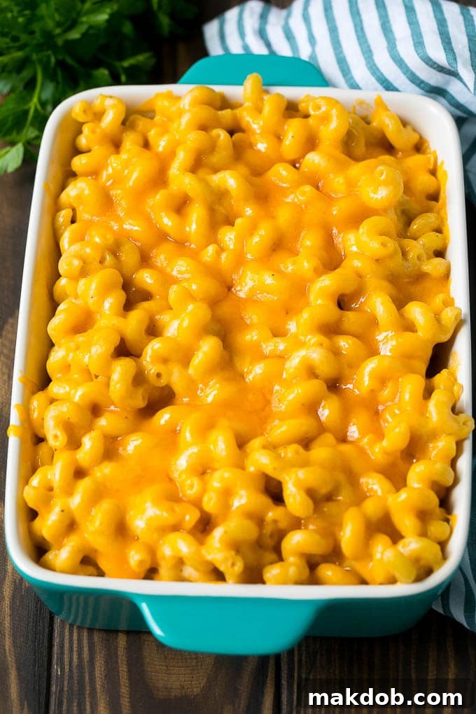 The perfect baked mac and cheese, hot and bubbly from the oven. A vibrant blue casserole dish filled with bubbling, golden baked mac and cheese, ready to be served.
