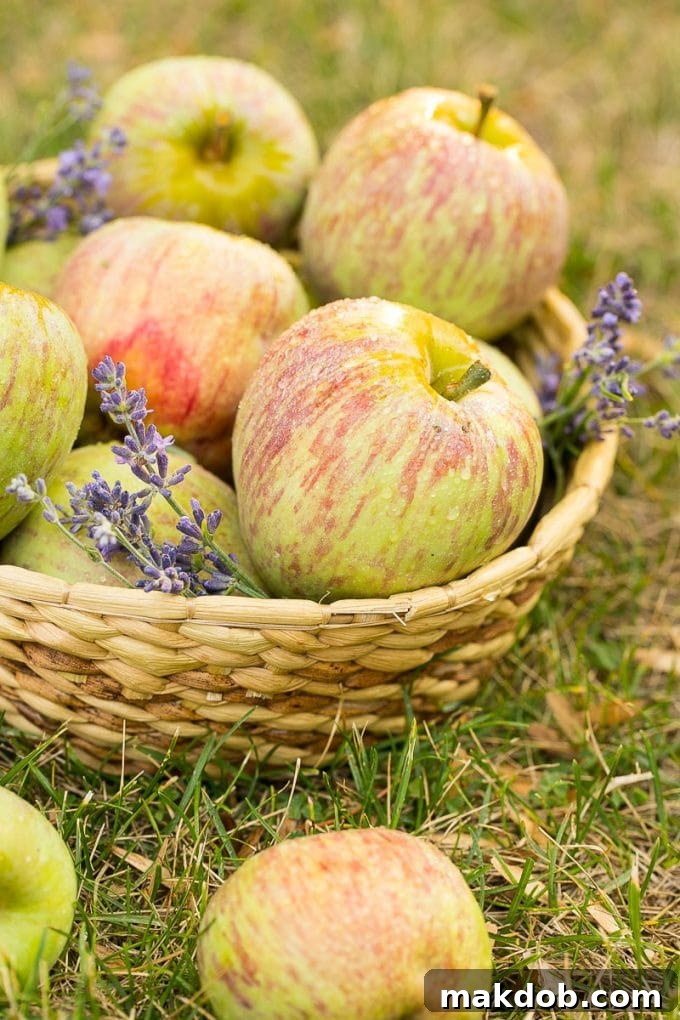 Spiced Apple Comfort Cake 3 A rustic basket filled with freshly picked, vibrant apples, symbolizing the fresh ingredients used in the cake.