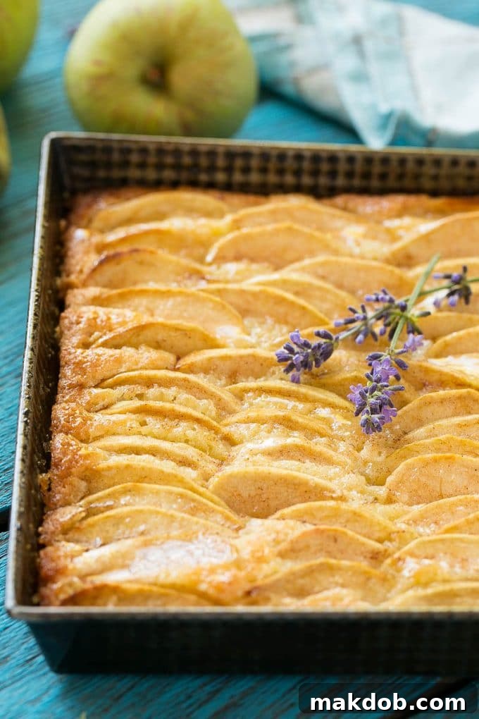 Spiced Apple Comfort Cake 4 A delectable sweet dessert featuring fresh apple slices baked into the golden top, creating a beautiful texture and appealing presentation.