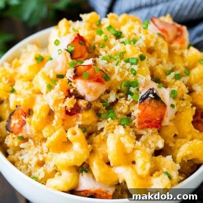 Lobster mac and cheese topped with crispy breadcrumbs.