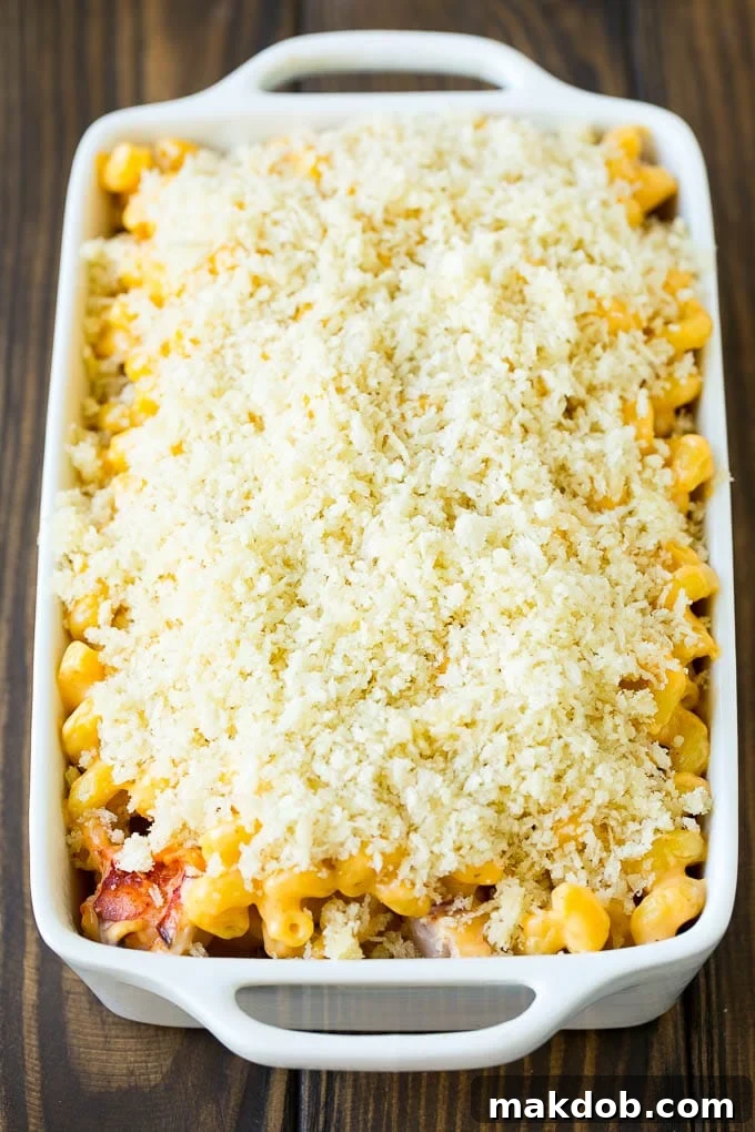 A casserole dish of lobster mac and cheese topped with golden panko breadcrumbs, fresh out of the oven.