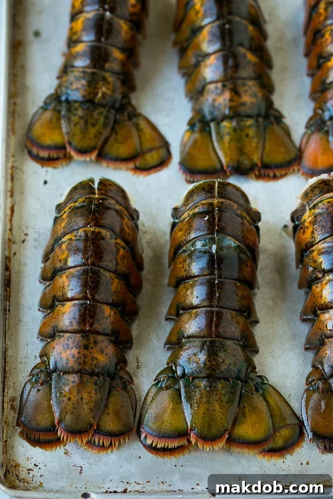 Lobster tails with a precise cut down the back of each one, ready for butterflying.