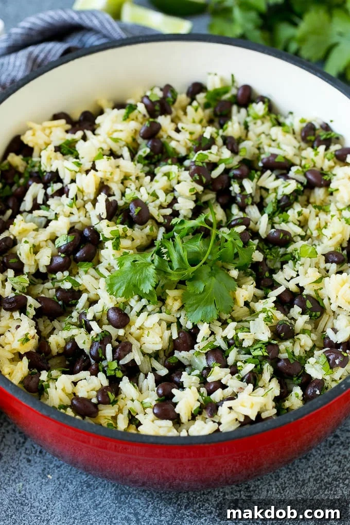 Black Beans and Rice Recipe | Cuban Black Beans | Beans and Rice #beans #rice #blackbeans #sidedish #glutenfree #dinner #dinneratthezoo Black beans and rice in a pot topped with cilantro sprigs.