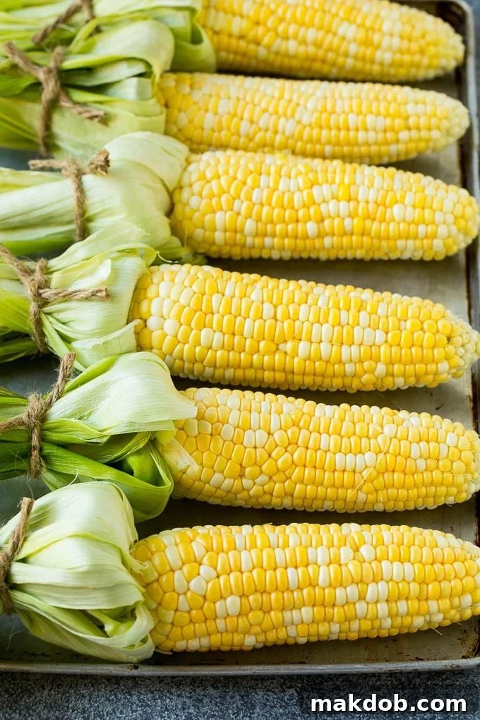 Bi-color corn on the cob arranged on a sheet pan, ready for cooking.