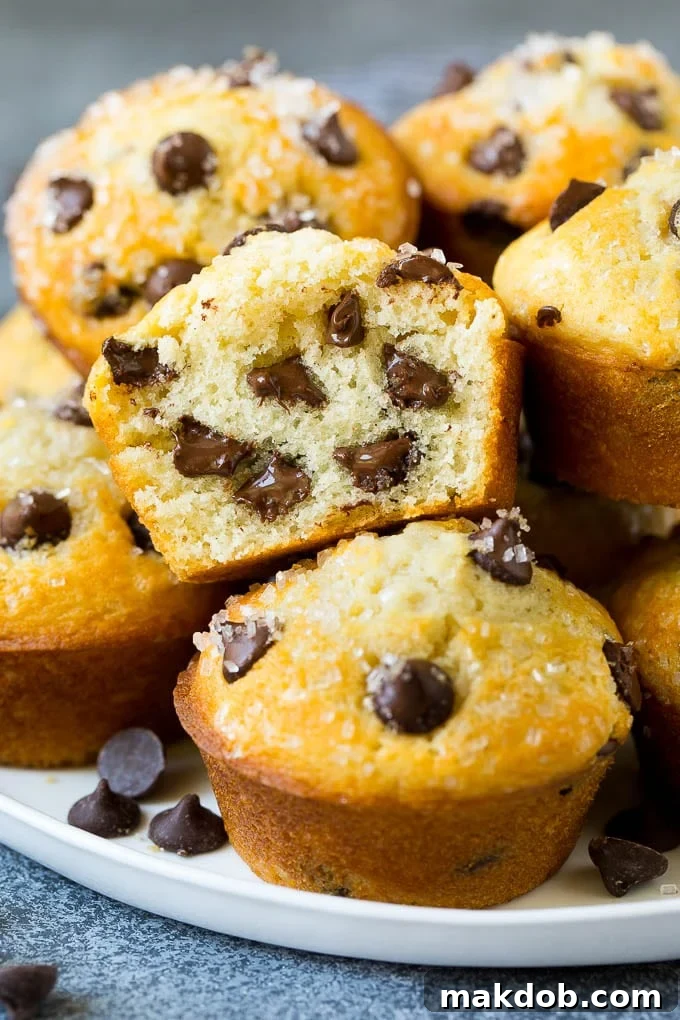 A perfectly baked chocolate chip muffin cut in half, revealing its tender, moist interior and abundant melted chocolate chips.