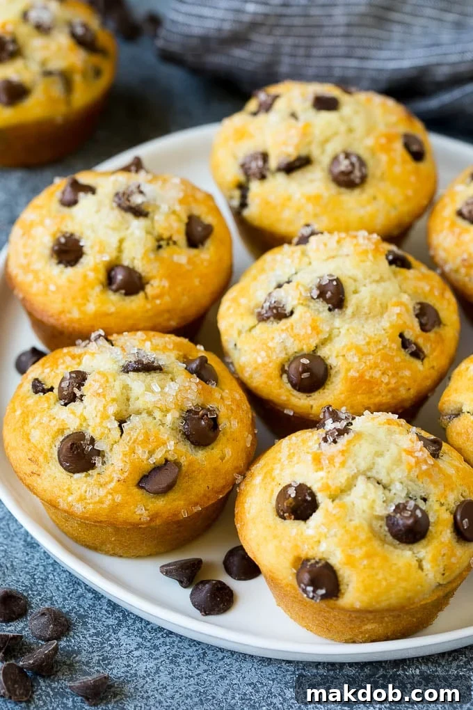 A tempting display of perfectly baked chocolate chip muffins arranged on a pristine white serving platter.