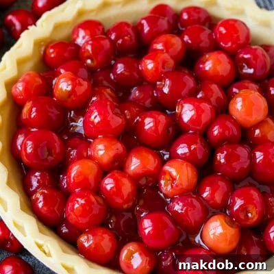 Crimson Cherry Delight 2 Cherry pie filling inside of an unbaked pie crust.