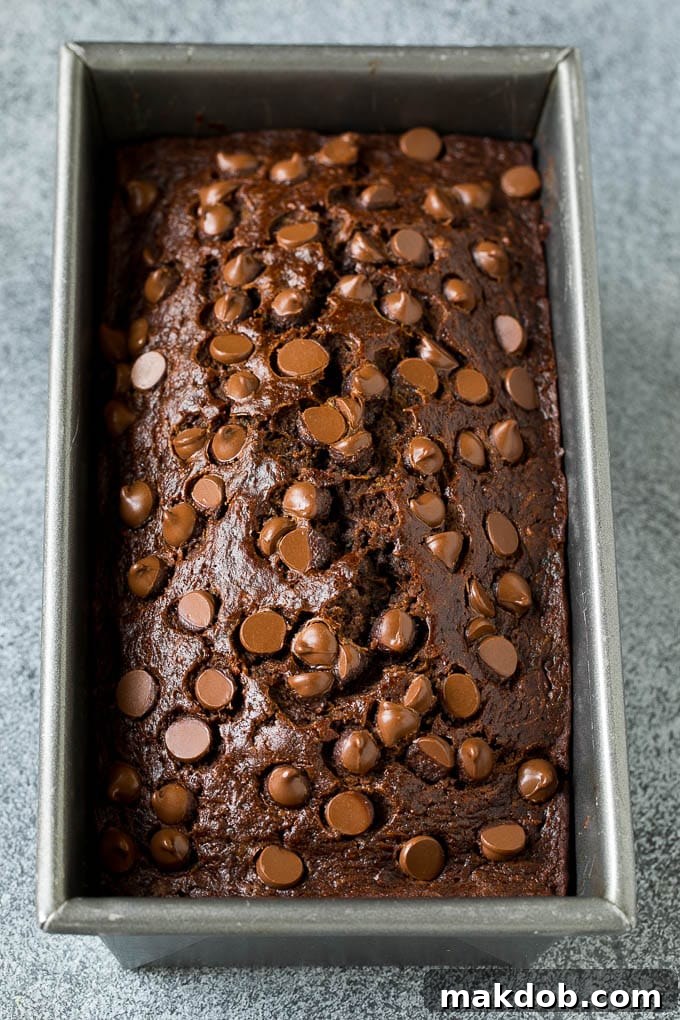 A freshly baked loaf of chocolate zucchini bread, elegantly topped with a rich chocolate drizzle or extra chocolate chips.