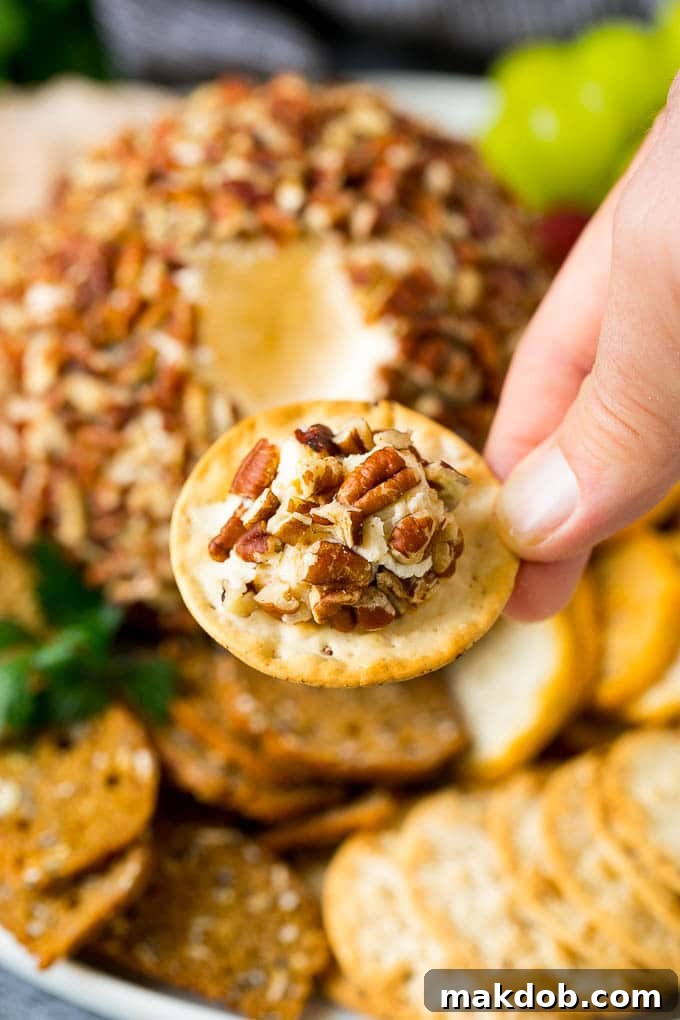 Irresistible Cheese Ball Appetizer 6 A hand holding a cracker topped with cheese spread.