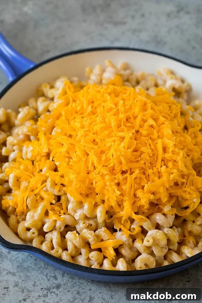 Pasta cooked in milk with shredded cheese on top.